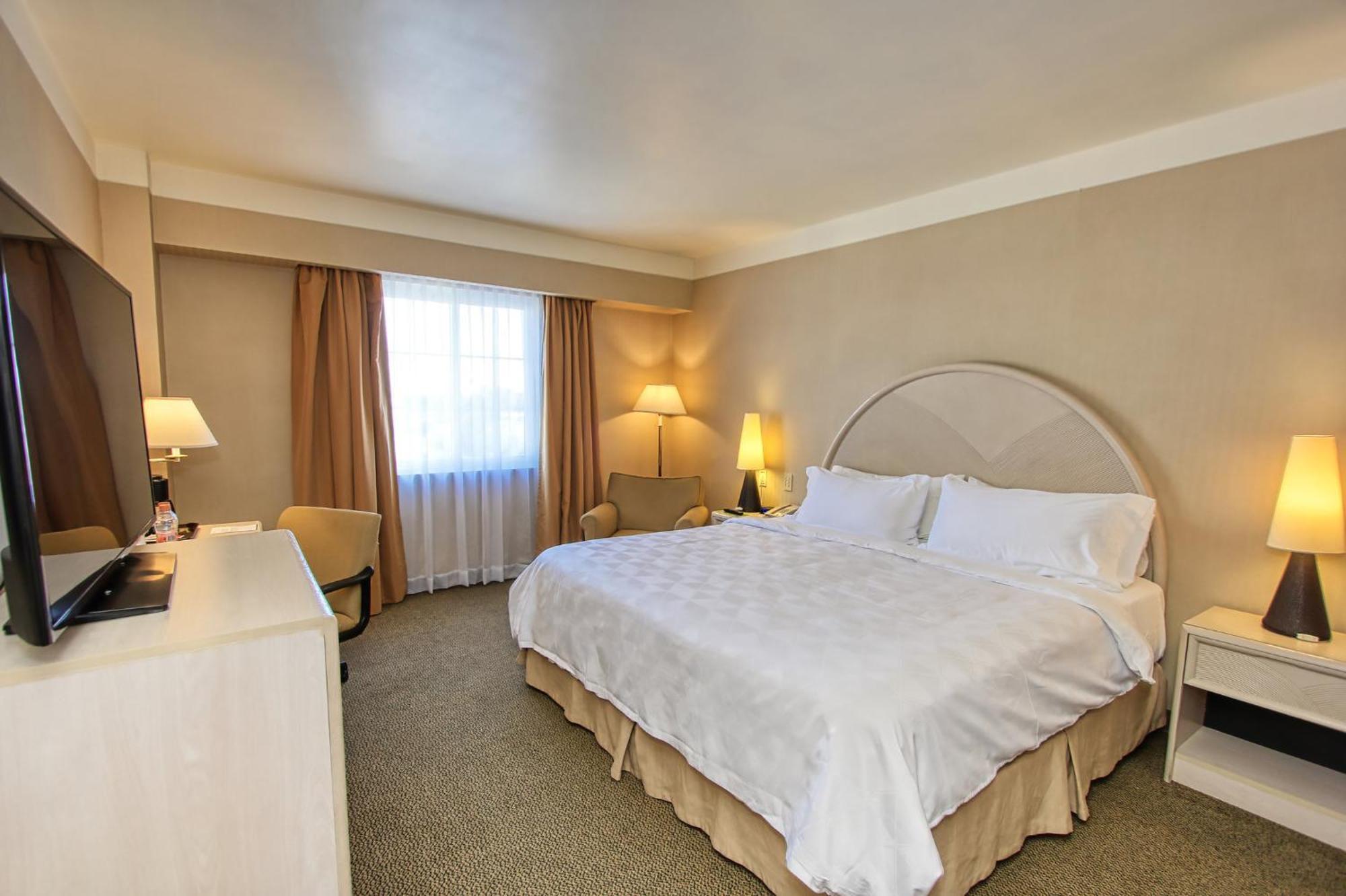Holiday Inn Leon-Convention Center By Ihg Buitenkant foto